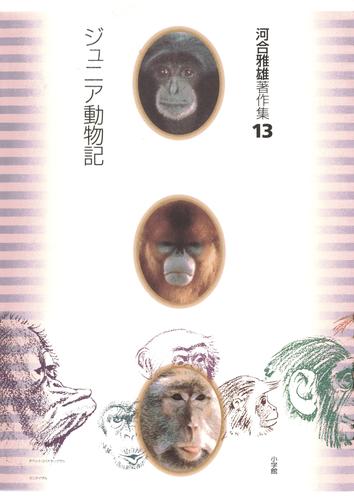 河合雅雄著作集13　ジュニア動物記