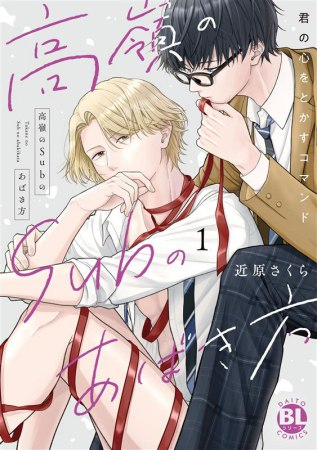 高嶺のSubのあばき方 君の心をとかすコマンド (1巻 全巻)