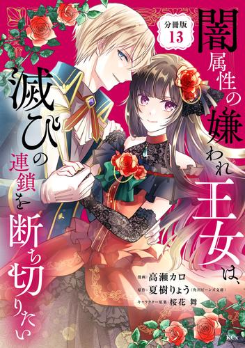 闇属性の嫌われ王女は、滅びの連鎖を断ち切りたい　分冊版（１３）