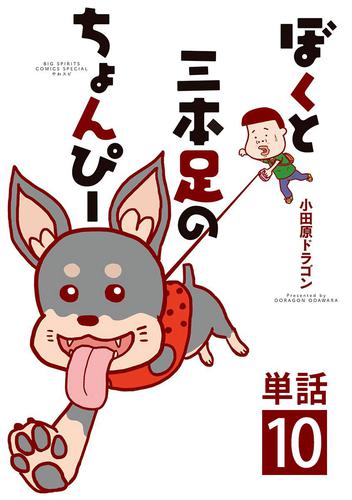 ぼくと三本足のちょんぴー【単話】(10)