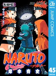 NARUTO―ナルト― モノクロ版 45