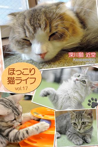 ほっこり猫ライフ　vol.17