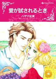 愛が試されるとき【分冊】 12巻