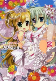 藤真拓哉画集 ViVidgirls