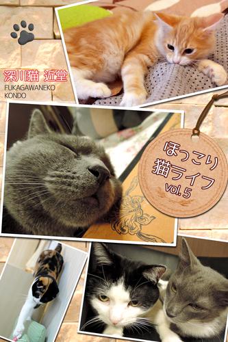 ほっこり猫ライフ　vol.5