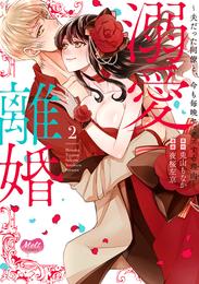 溺愛離婚【単行本】【電子限定特典付】 2 冊セット 全巻