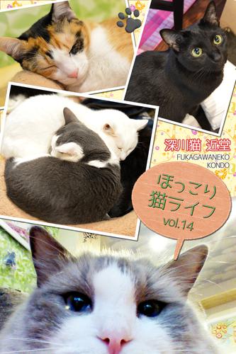 ほっこり猫ライフ　vol.14