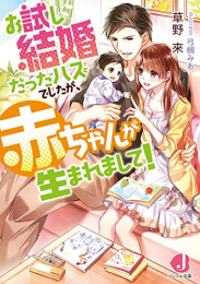 [ライトノベル]お試し結婚だったハズでしたが、赤ちゃんが生まれまして! (全1冊)