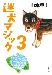 迷犬マジック 3 冊セット 最新刊まで