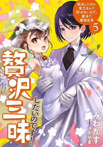 [ライトノベル]贅沢三昧したいのです! 転生したのに貧乏なんて許せないので、魔法で領地改革 (全5冊)