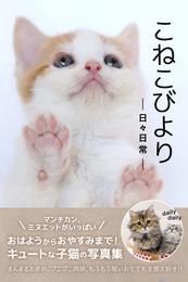 こねこびより　-日々日常-