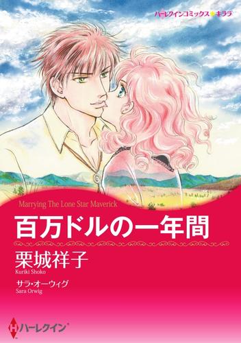 百万ドルの一年間【分冊】 1巻