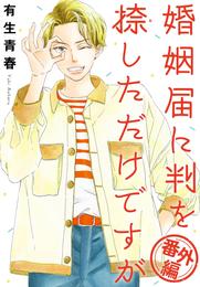 婚姻届に判を捺しただけですが 11 冊セット 全巻