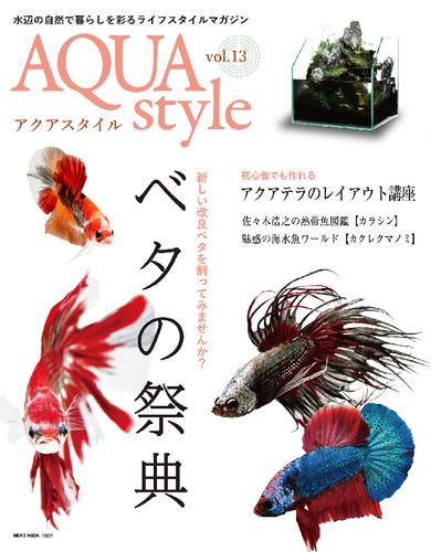 AQUA style 13号