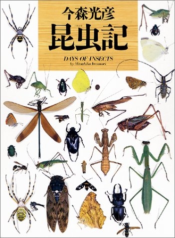 今森光彦 昆虫記