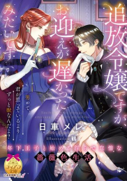 [ライトノベル]追放令嬢ですが、お迎えが遅かったみたいです 年下王子と始める淫らで怠惰な薔薇色生活 (全1冊)