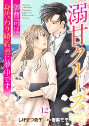 溺甘クルーズ～御曹司は身代わり婚約者に夢中です～【分冊版】 12 冊セット 全巻