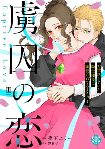 虜囚の恋～お世話していた騎士団長に溺愛されてるようです～【単行本版】 3 冊セット 最新刊まで