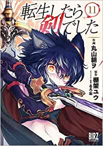 転生したら剣でした(11) 小冊子つき特装版