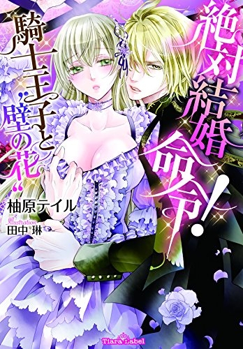 [ライトノベル]絶対結婚命令! 騎士王子と“壁の花” (全1冊)