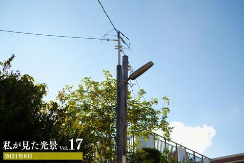 私が見た光景 vol.17 2021年8月