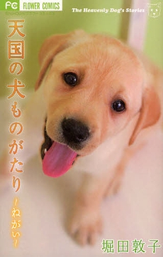 天国の犬ものがたり (1巻 全巻)