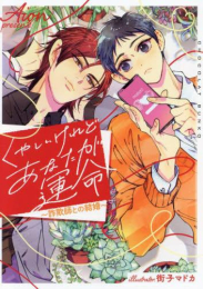 [ライトノベル]くやしいけれどあなたが運命〜詐欺師との結婚〜 (全1冊)