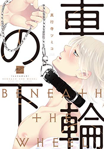 車輪の下 (1巻 全巻)