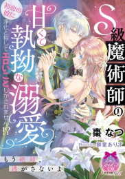 [ライトノベル]S級魔術師の甘くて執拗な溺愛: 初恋の彼に浄化と称してエロいことしかされません!? (全1冊)