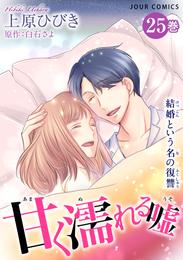 甘く濡れる嘘～結婚という名の復讐～ 25 冊セット 最新刊まで