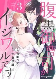 腹黒御曹司がイジワルです 3 冊セット 全巻