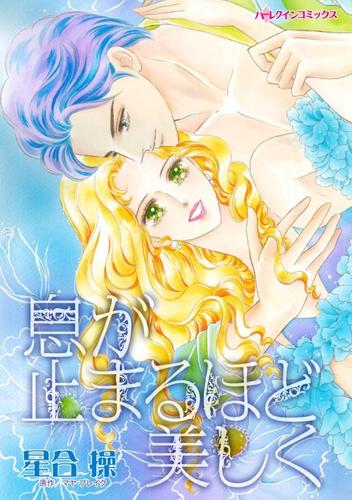 息が止まるほど美しく【分冊】 12 冊セット 全巻