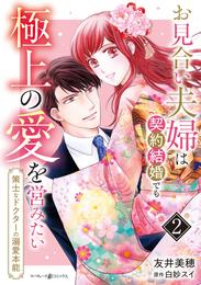 お見合い夫婦は契約結婚でも極上の愛を営みたい～策士なドクターの溺愛本能～ 2 冊セット 全巻