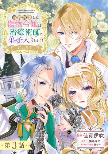 【単話版】婚約破棄した傷物令嬢は、治癒術師に弟子入りします！@COMIC 第3話