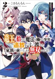 竜王に拾われて魔法を極めた少年、追放を言い渡した家族の前でうっかり無双してしまう２　～兄上たちが僕の仲間を攻撃するなら、徹底的にやり返します～