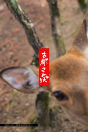 古都さんぽ19 ～写真家 茶谷明宏がゆく～