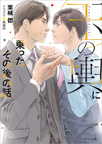 [ライトノベル]玉の輿に乗ったその後の話 玉の輿ご用意しました番外編 (全1冊)