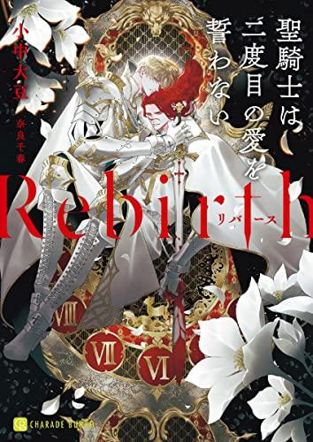 [ライトノベル]Rebirth 〜聖騎士は二度目の愛を誓わない〜 (全1冊)