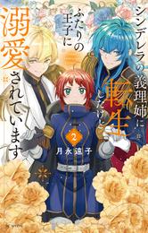 シンデレラの義理姉に転生したけどふたりの王子に溺愛されています【電子限定おまけ付き】　2巻