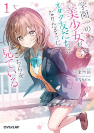 [ライトノベル]学園一の美少女がオタク友だちになりたそうにこちらを見ている (全1冊)