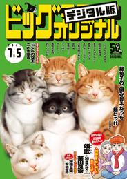 ビッグコミックオリジナル 2023年13号（2023年6月20日発売)