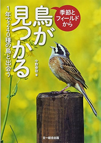 季節とフィールドから鳥が見つかる?1年で240種の野鳥と出会う