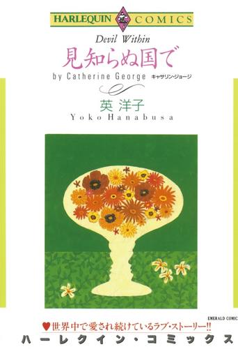 見知らぬ国で【分冊】 10巻