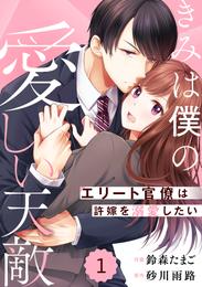 comic Berry’sきみは僕の愛しい天敵～エリート官僚は許嫁を溺愛したい～1巻