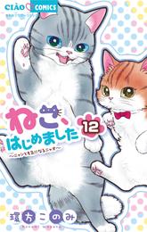 ねこ、はじめました 12 冊セット 最新刊まで