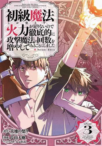 初級魔法しか使えず、火力が足りないので徹底的に攻撃魔法の回数を増やしてみることにしました 3巻