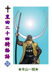 黒田二十四騎物語 12 冊セット 最新刊まで