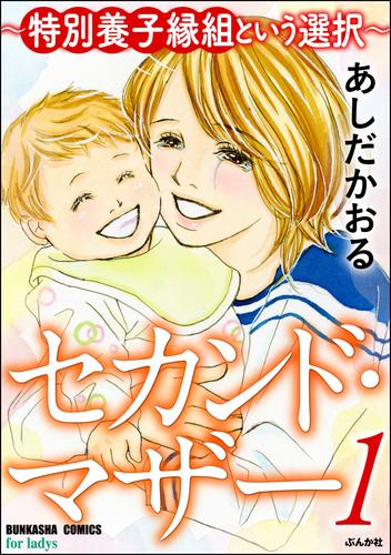 セカンド・マザー～特別養子縁組という選択～