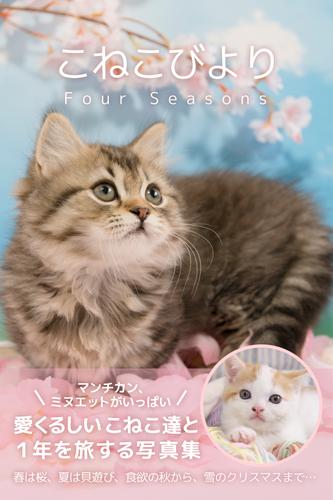 こねこびより　Four　Seasons