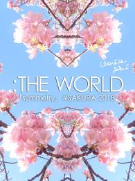 ：THE WORLD - 「symmetry」#SAKURA 2018